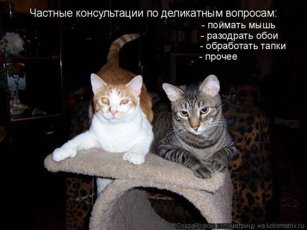 Мысли вслух :)