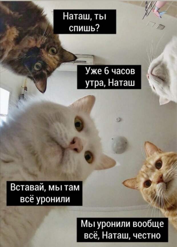 наташ, мы все уронили