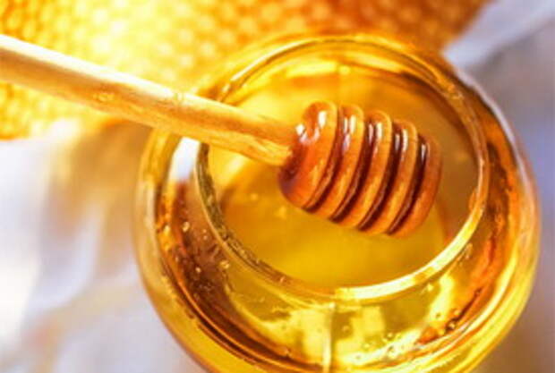 мед для укоренения