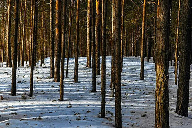 Даниил Баталов заявил, что семья Усольцевых могла уехать из Кутурчина