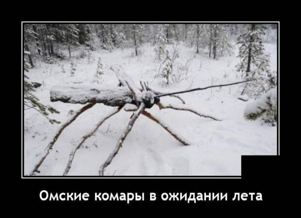 Демотиватор про комаров