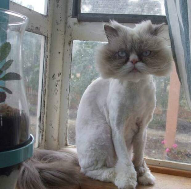 Давайте улыбаться вместе! :) (21повод)