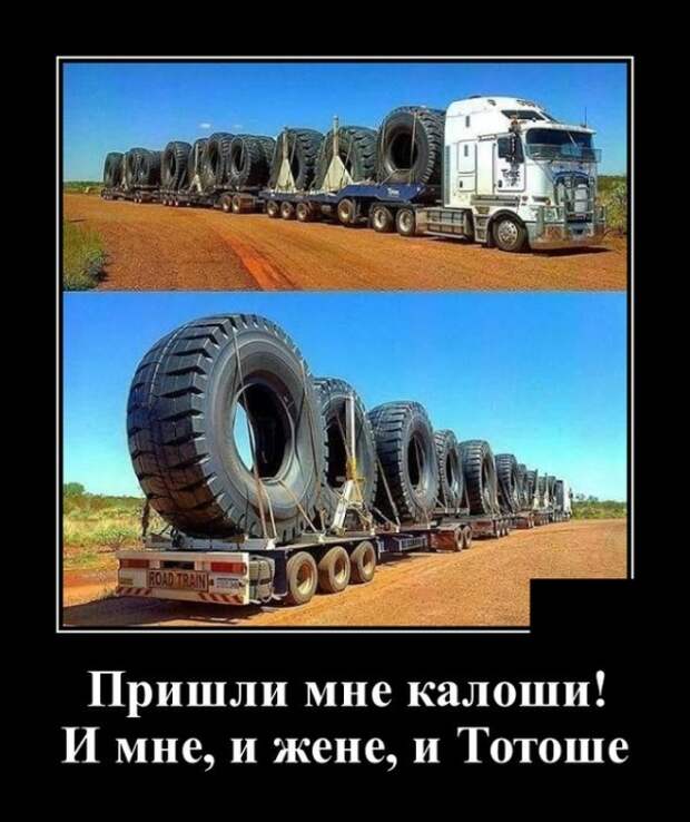 Демотиваторы (30 фото)