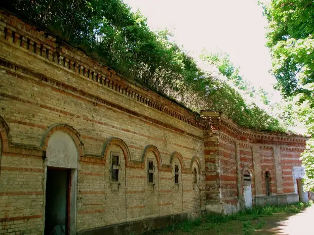 Фото: upload.wikimedia.org