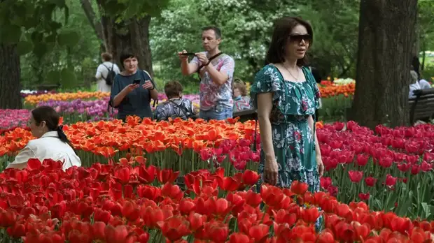 Более 50 млн цветов украсят Москву в 2021 году