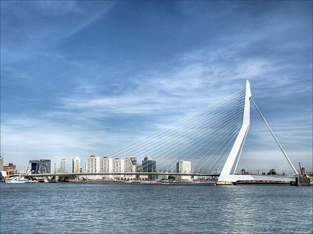 Мост Эразма, Роттердам, Нидерланды