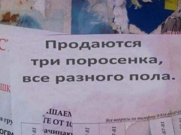 Юмор и приколы из социальных сетей