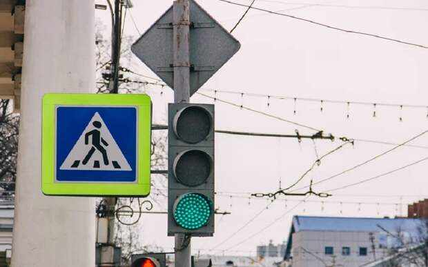 Рязанская Госавтоинспекция штрафует пешеходов за нарушения ПДД
