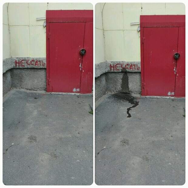 приколы