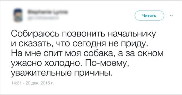 igor