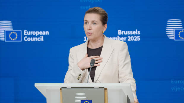 Премьер Дании в новогоднем обращении признала свои ошибки в управлении страной