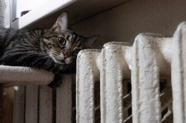 Крымчане задолжали за отопление свыше 1 млрд рублей