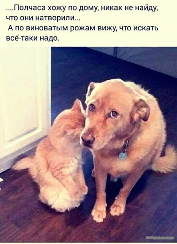 Сто процентов надо )