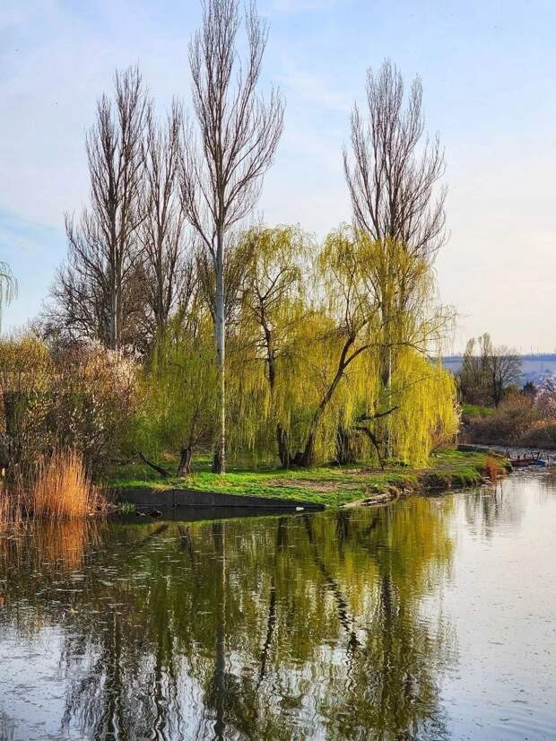 Река Крынка