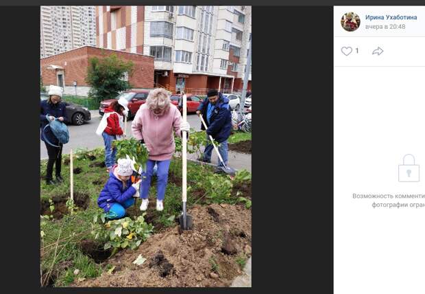 В Некрасовке посадили еще 1000 кустов и 40 деревьев