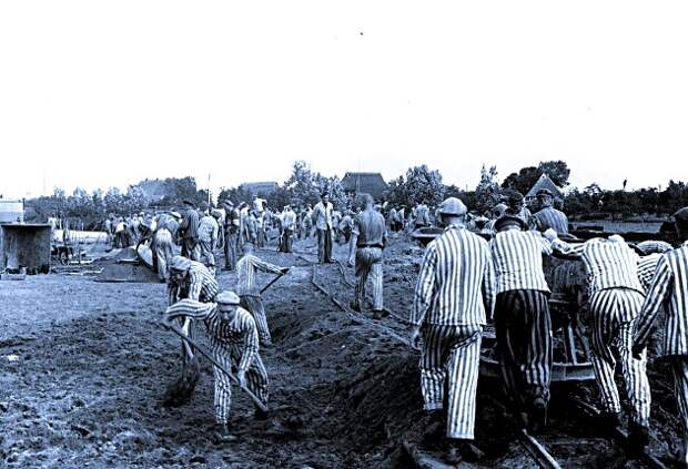 Узники концентрационного лагеря Нойенгамме копают канал, фото 1941 года.