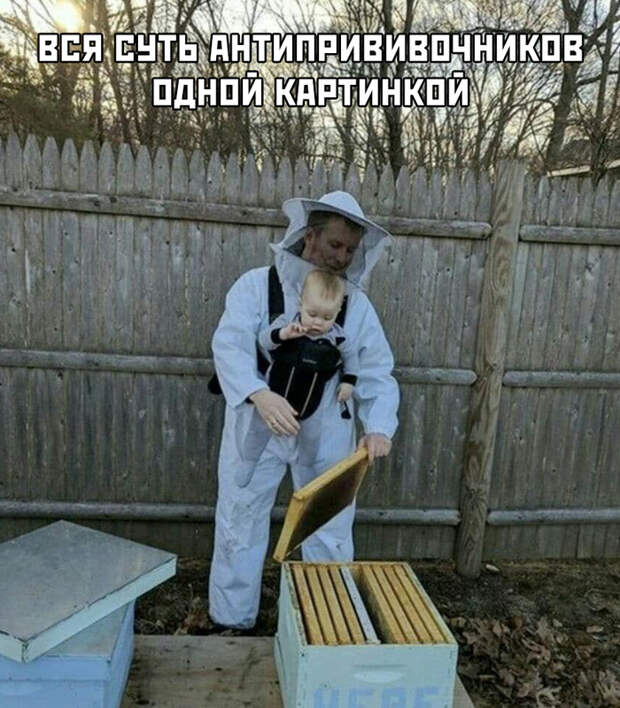 Подборка картинок. Вечерний выпуск (33 фото)