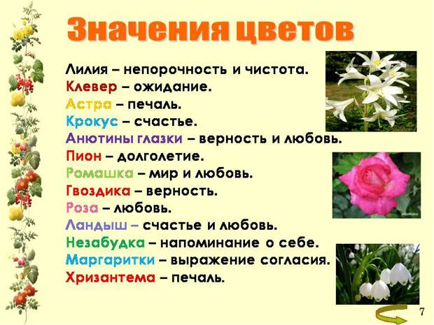 Цветы на каждый день в году. Цветочная композиция. Подоконник с цветами. Цветы на каждый день в году. Шикарный букет цветов.