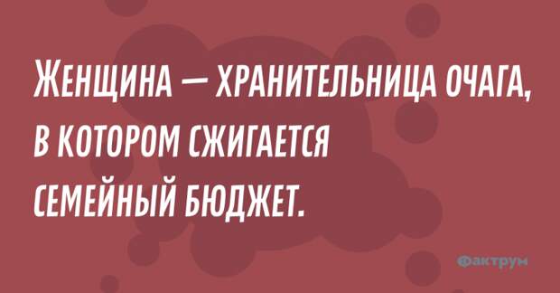 Женщина — хранительница очага, в котором сжигается семейный бюджет. Анекдот про хранительницу очага.