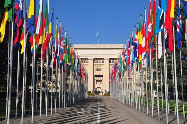 Для чего севастопольская студентка отправится на конференцию ООН в Женеве?