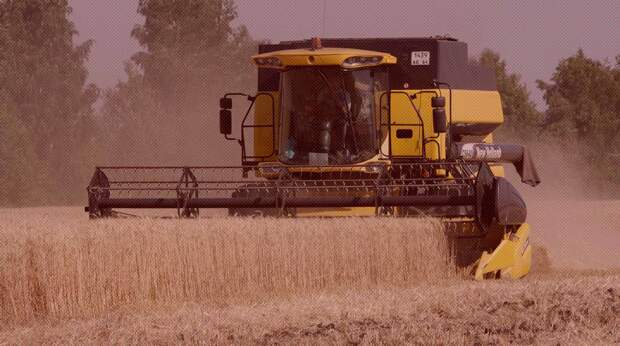 В Российском зерновом союзе указали на проблемы отечественных фермеров из-за сделки по вывозу пшеницы из Одессы