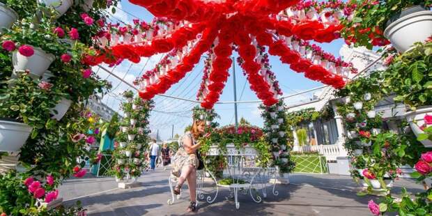 Собянин: Фестиваль «Цветочный джем» в Москве начнется 1 сентября Фото: Ю. Иванко mos.ru