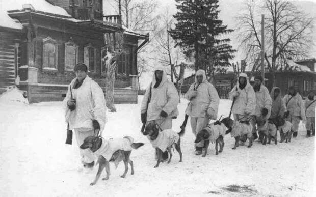 Подборка редких фотографий со всего мира. Часть 15 (25 фото)