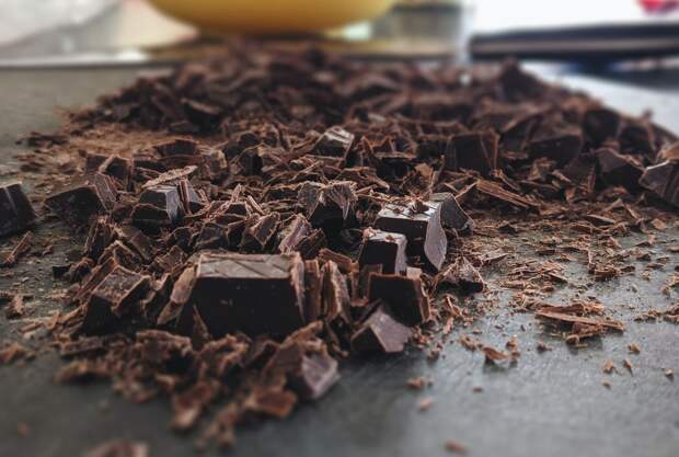 Food Bioscience: темный шоколад поддерживает рост полезных кишечных бактерий