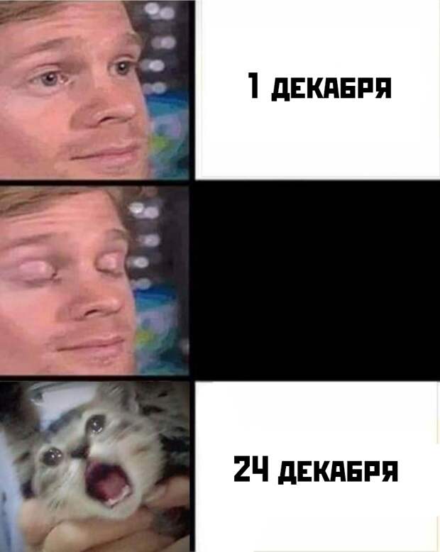 www.vsyako.net