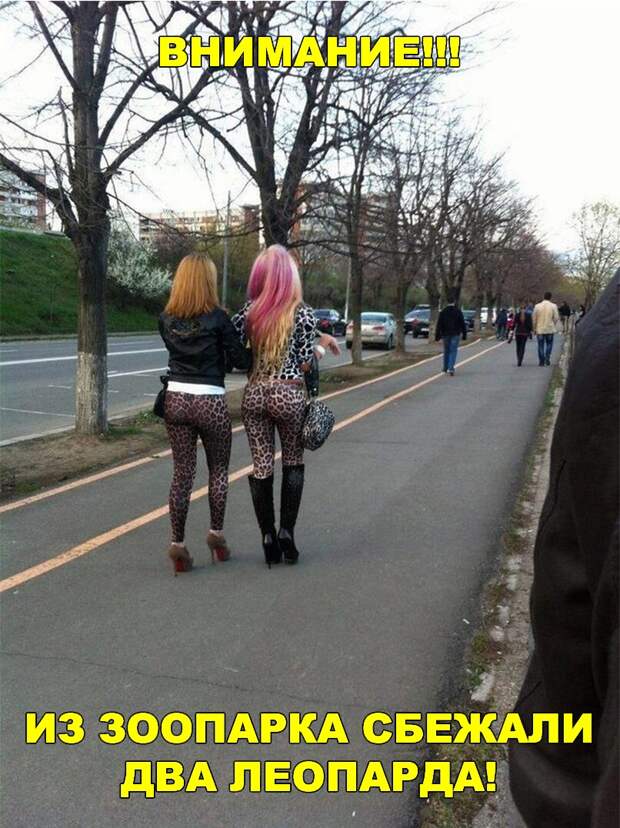 Веселые и классные картинки с надписями для хорошего настроения