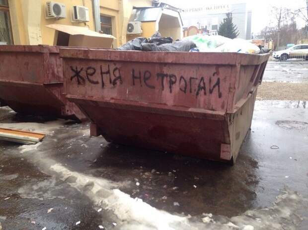 Как человека просим загадка, коты, прикол, тайна, холодильник, что происходит, юмор