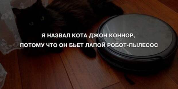 pozitiva-anekdoty-kartinki-smeshnye-kartinki-fotoprikoly pozitiva-anekdoty-kartinki-smeshnye-kartinki-fotoprikoly