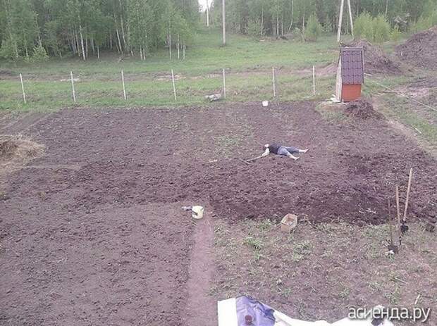 Пляжный огород девушки, деревня, прикол, простушки, село, смех, юмор