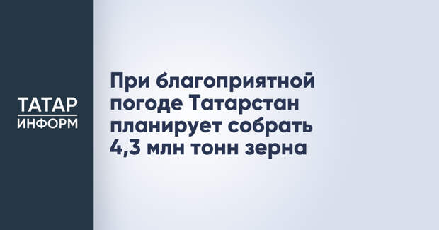 При благоприятной погоде Татарстан планирует собрать 4,3 млн тонн зерна