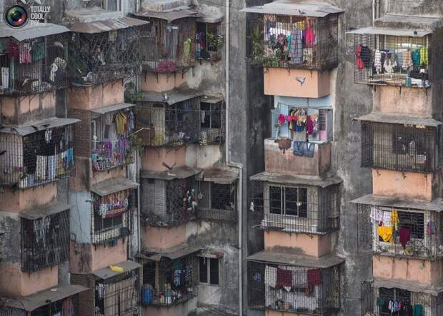 Как в муравейнике: жилые дома Мумбая