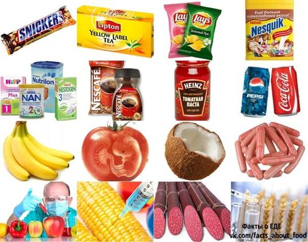Паразиты активно кормят народ ГМО-продуктами
