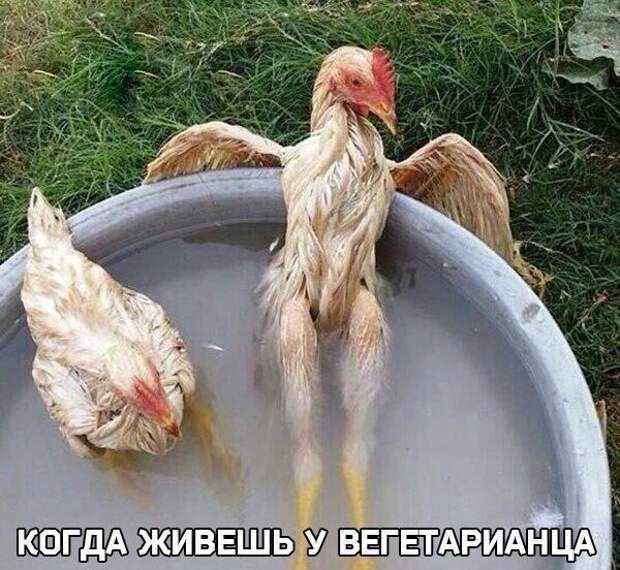 Когда живешь Когда живешь