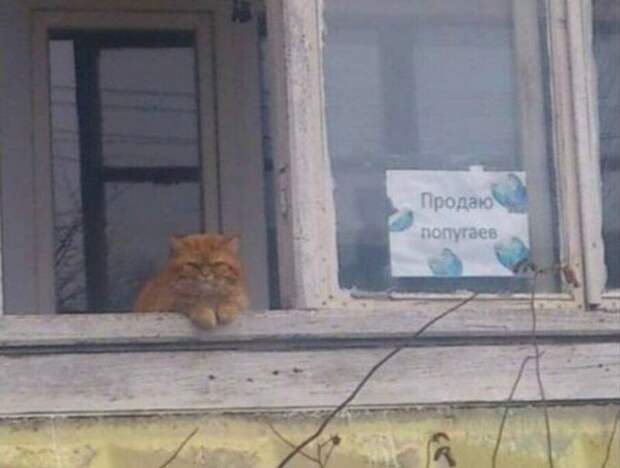 Что-то с реальностью не всё в порядке