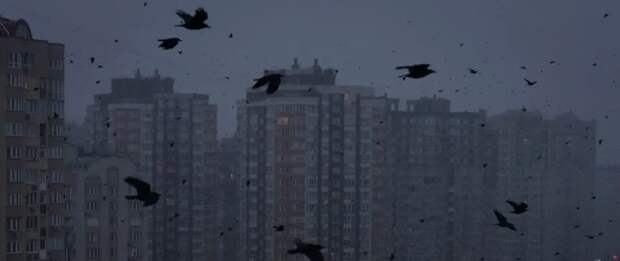 «Без заморозки боевых действий нас зимой потушат» – укро-политолог