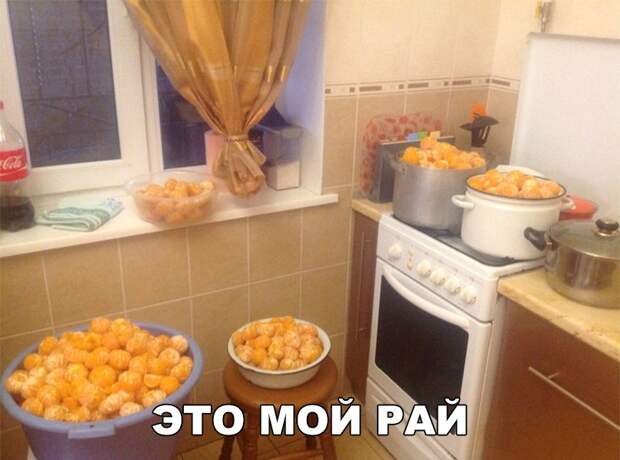 Подборка смешных и забавных картинок с надписями (10 фото)