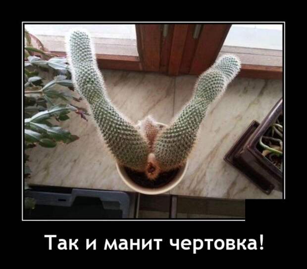 Демотиватор про воображение