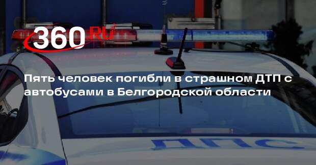 Губернатор Гладков: в Новооскольском округе произошло ДТП, погибли 5 человек
