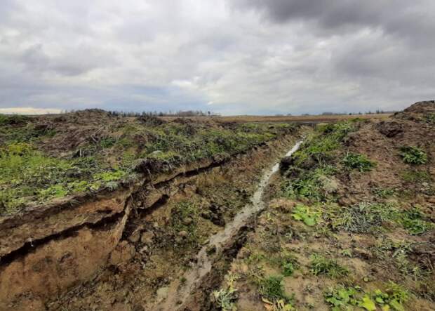 Невовлечение в оборот, искажение отчетности, качество работ. В Могилевской области изучены вопросы проведения мелиорации.