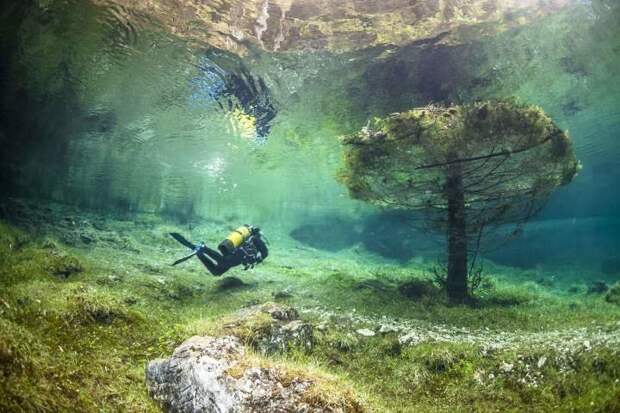 Зеленое озеро – излюбленное место дайверов и любителей подводных съемок Зеленое, драйвер, история, озеро, факты