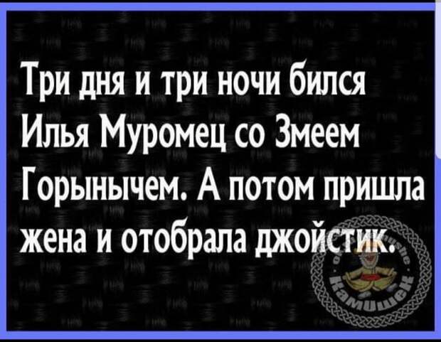 Пьяный мужик подобрал кота и приходит домой. Открывает жена...