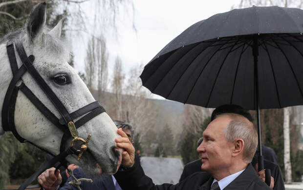 Александр Росляков. Путин – наш гужевой!