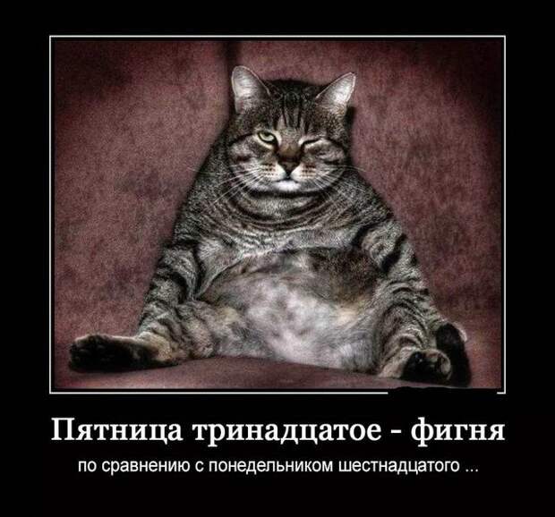 www.vsyako.net