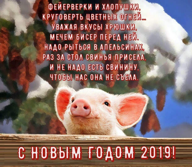 Поздравления с Новым годом свиньи - бесплатные открытки с пожеланиями