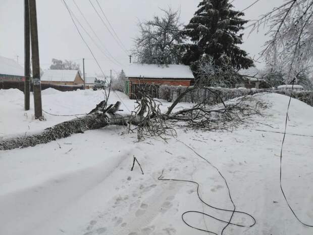 Энергетики устраняют последствия снегопада в семи районах Тульской области