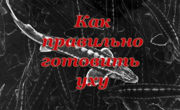 1 копия.jpg